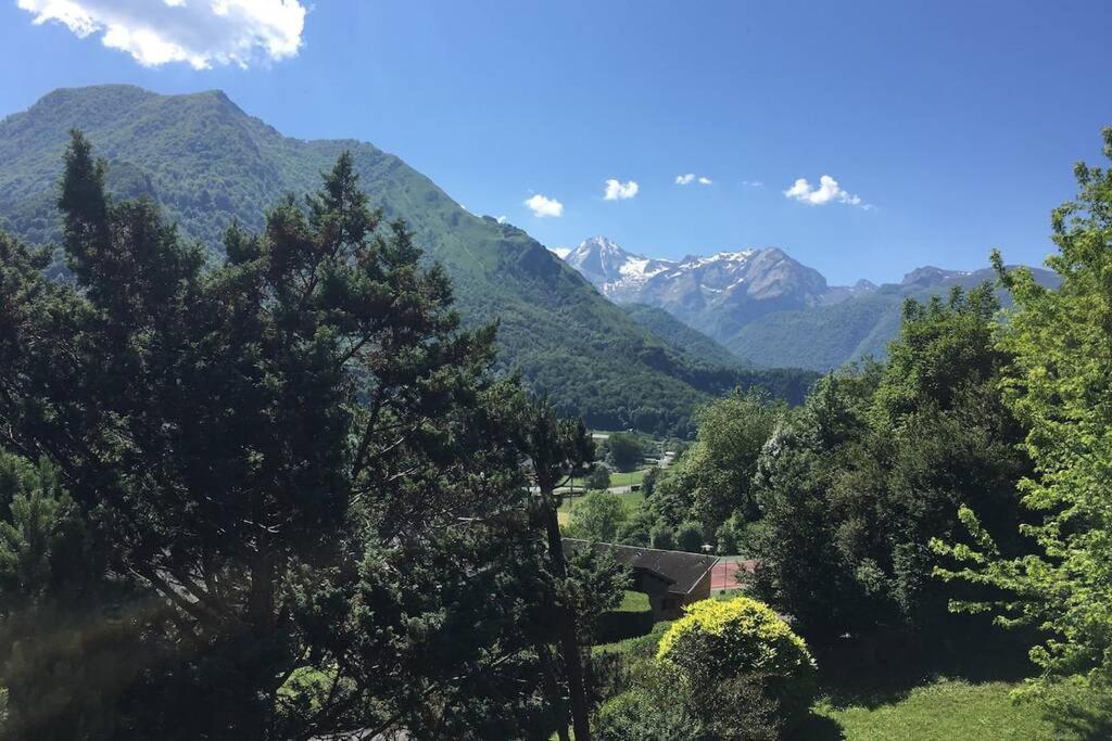 Chalet De L'Ours Brun, Gite 3 Etoiles Gere-Belesten 外观 照片